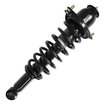 Suspension Strut and Coil Spring Assembly