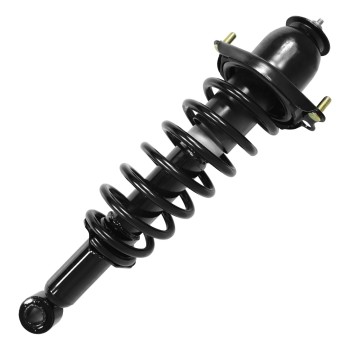 Suspension Strut and Coil Spring Assembly