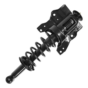 Suspension Strut and Coil Spring Assembly
