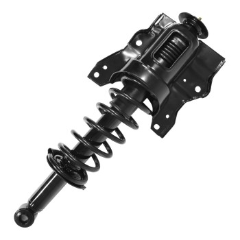 Suspension Strut and Coil Spring Assembly