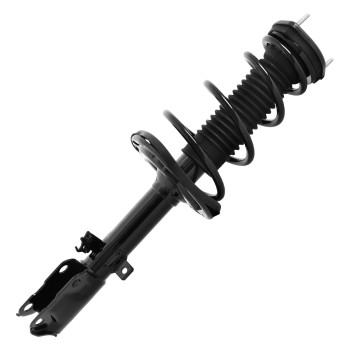 Suspension Strut and Coil Spring Assembly