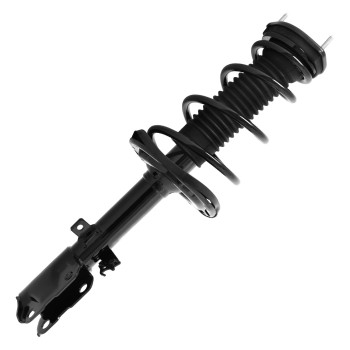 Suspension Strut and Coil Spring Assembly