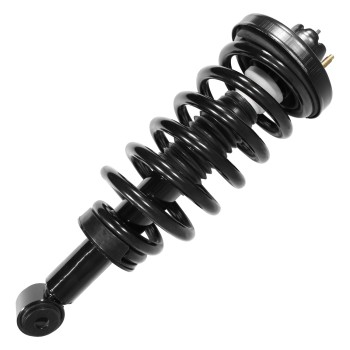 Suspension Strut and Coil Spring Assembly