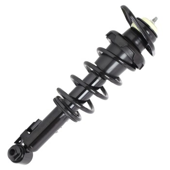 Suspension Strut and Coil Spring Assembly