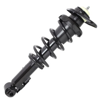 Suspension Strut and Coil Spring Assembly