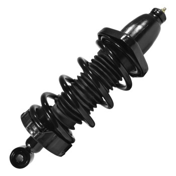 Suspension Strut and Coil Spring Assembly