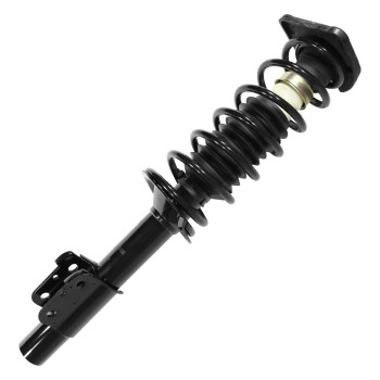 Suspension Strut and Coil Spring Assembly