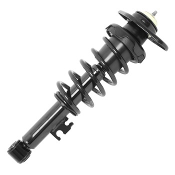 Suspension Strut and Coil Spring Assembly