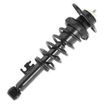 Suspension Strut and Coil Spring Assembly