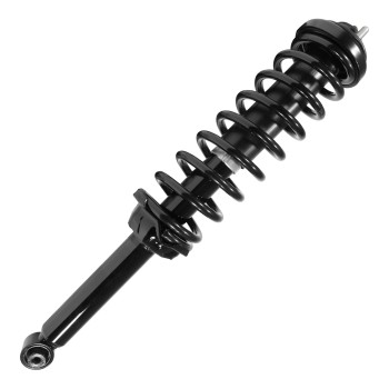 Suspension Strut and Coil Spring Assembly