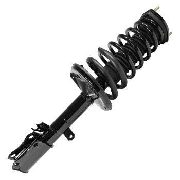 Suspension Strut and Coil Spring Assembly