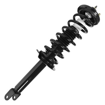 Suspension Strut and Coil Spring Assembly