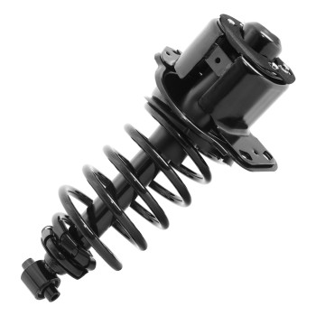 Suspension Strut and Coil Spring Assembly