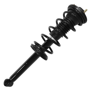 Suspension Strut and Coil Spring Assembly