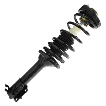 Suspension Strut and Coil Spring Assembly