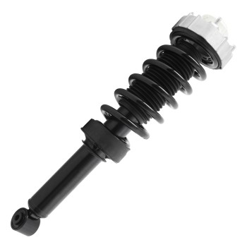 Suspension Strut and Coil Spring Assembly