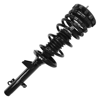 Suspension Strut and Coil Spring Assembly