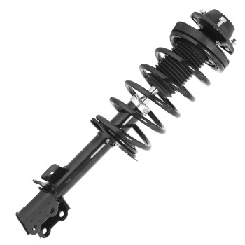 Suspension Strut and Coil Spring Assembly
