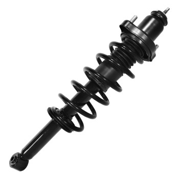 Suspension Strut and Coil Spring Assembly