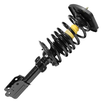 Suspension Strut and Coil Spring Assembly