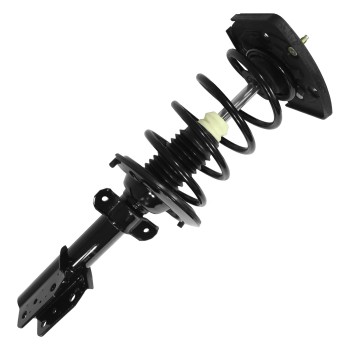 Suspension Strut and Coil Spring Assembly