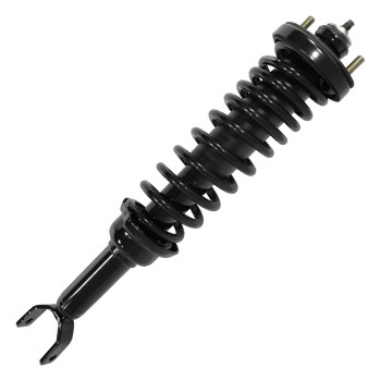 Suspension Strut and Coil Spring Assembly