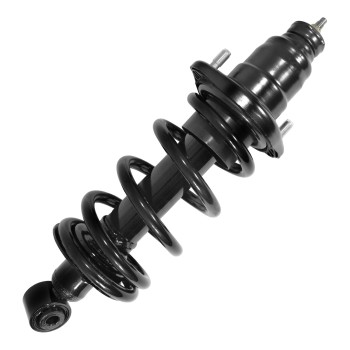 Suspension Strut and Coil Spring Assembly