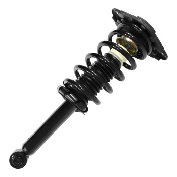 Suspension Strut and Coil Spring Assembly