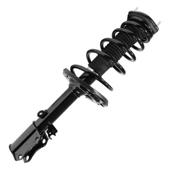 Suspension Strut and Coil Spring Assembly