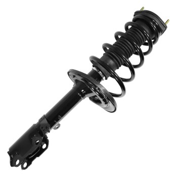 Suspension Strut and Coil Spring Assembly