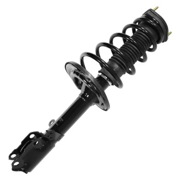 Suspension Strut and Coil Spring Assembly