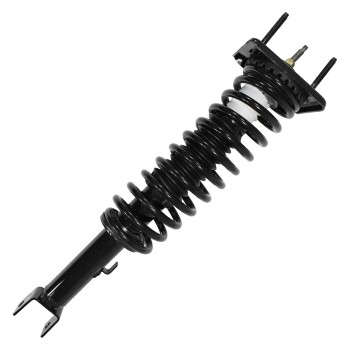 Suspension Strut and Coil Spring Assembly