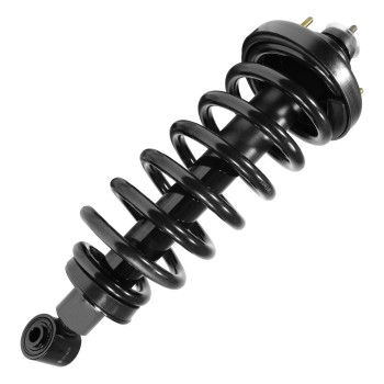 Suspension Strut and Coil Spring Assembly