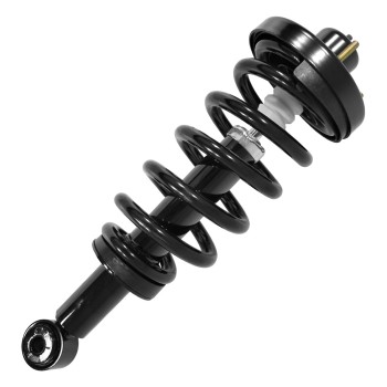 Suspension Strut and Coil Spring Assembly