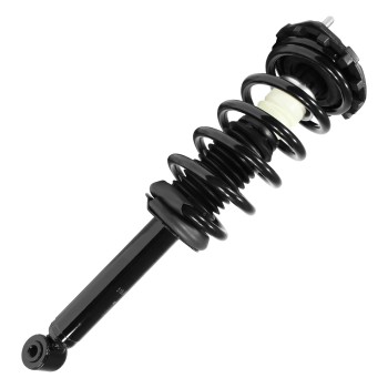Suspension Strut and Coil Spring Assembly