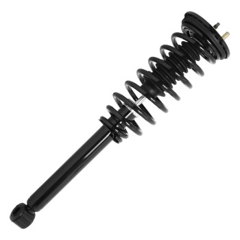 Suspension Strut and Coil Spring Assembly