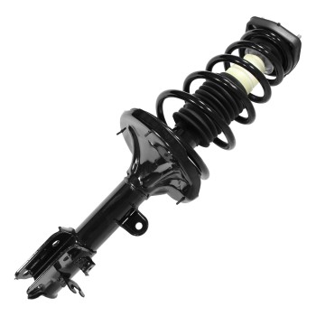 Suspension Strut and Coil Spring Assembly