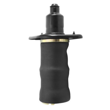 Air Suspension Spring