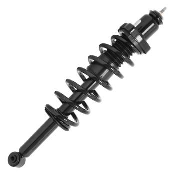 Suspension Strut and Coil Spring Assembly