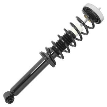 Suspension Strut and Coil Spring Assembly