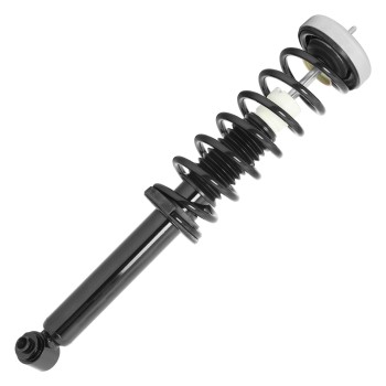 Suspension Strut and Coil Spring Assembly