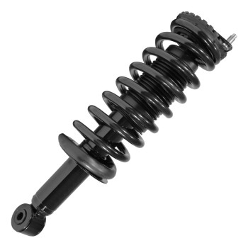 Suspension Strut and Coil Spring Assembly