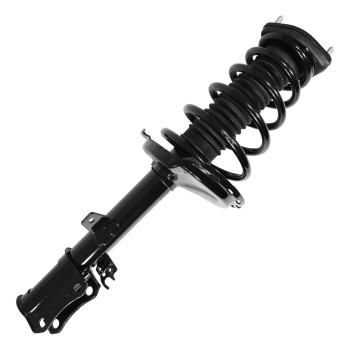 Suspension Strut and Coil Spring Assembly