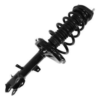 Suspension Strut and Coil Spring Assembly