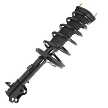 Suspension Strut and Coil Spring Assembly