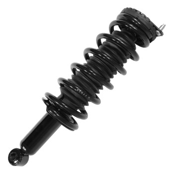 Suspension Strut and Coil Spring Assembly