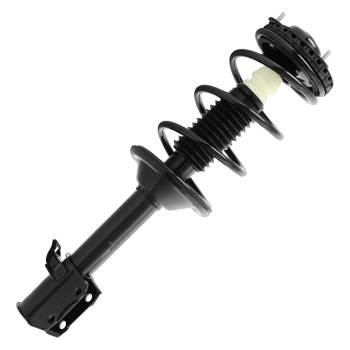 Suspension Strut and Coil Spring Assembly