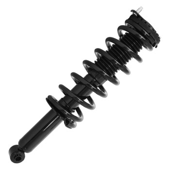 Suspension Strut and Coil Spring Assembly