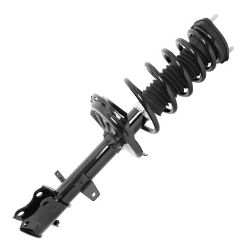 Suspension Strut and Coil Spring Assembly