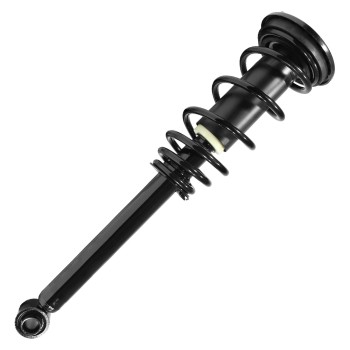 Suspension Strut and Coil Spring Assembly